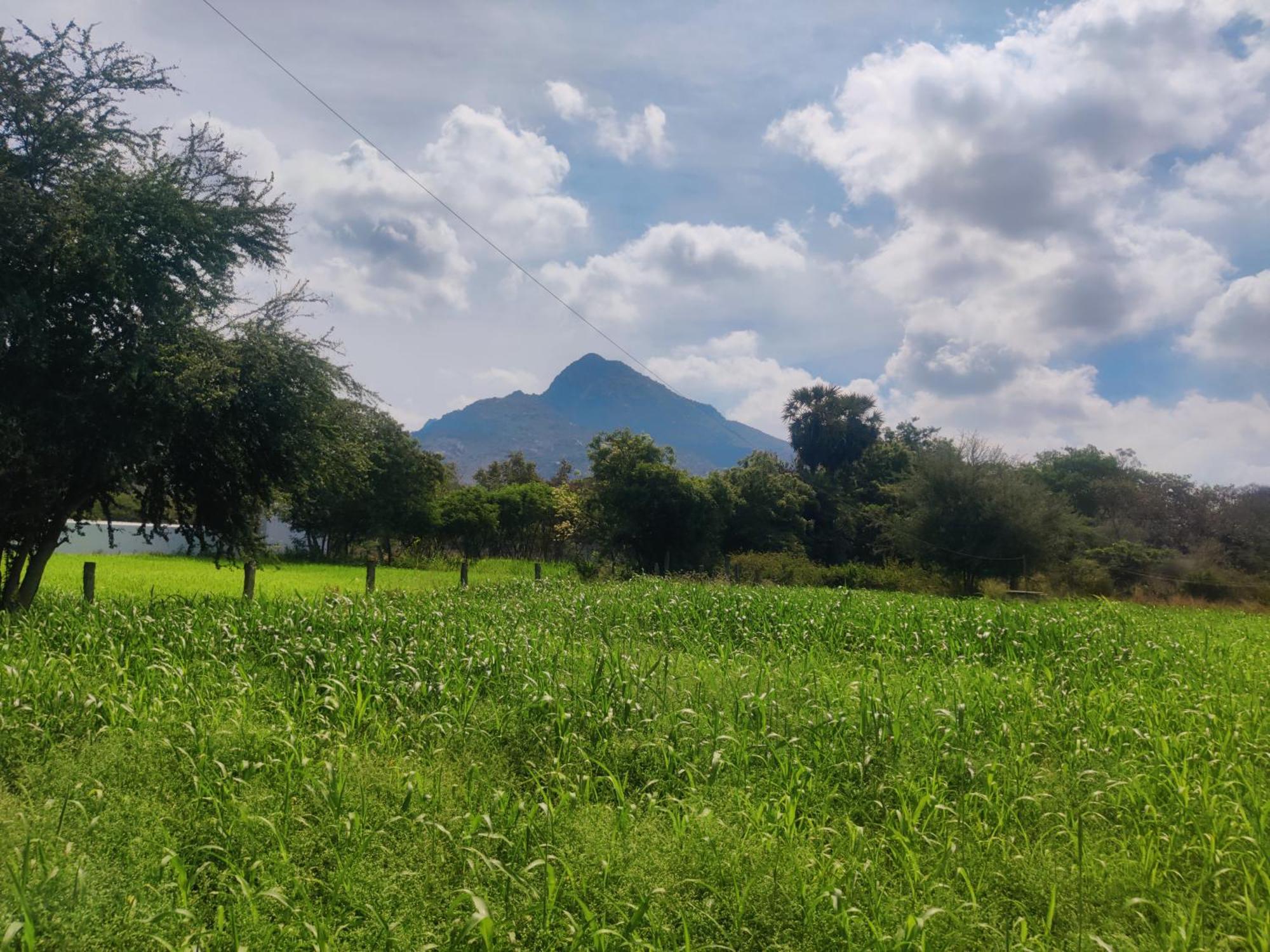 Arunachala Houses Tiruvannāmalai Zewnętrze zdjęcie
